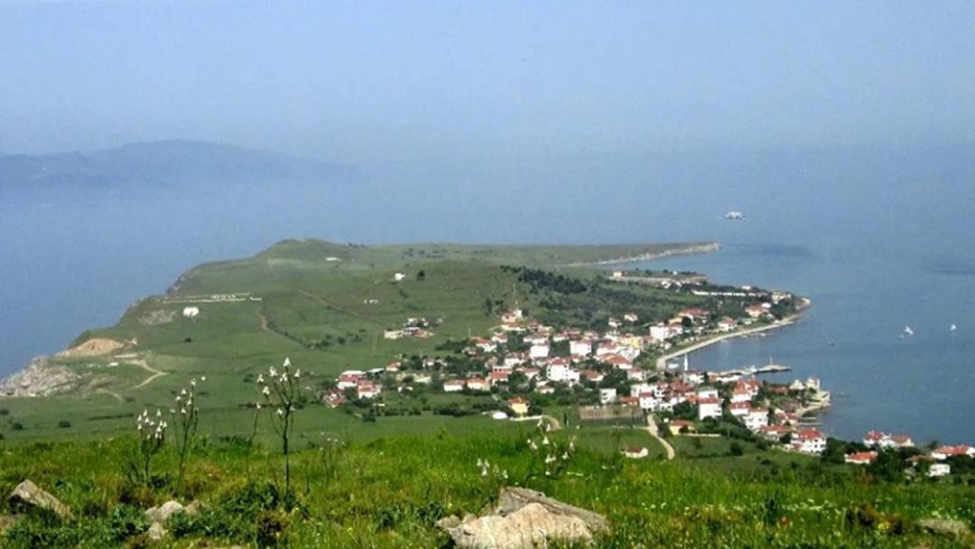 طبیعت جزیره اکیلنیک